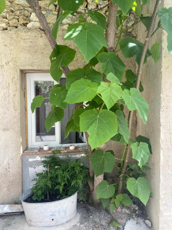 Lou Mut Vila Lectoure Exterior foto